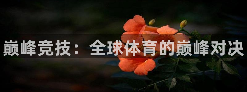 巅峰竞技：全球体育的巅峰对决